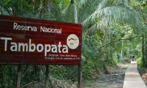 Reserva Nacional Tambopata
